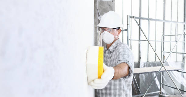 Best Basement Mold Removal  in Buchanan Dam, TX