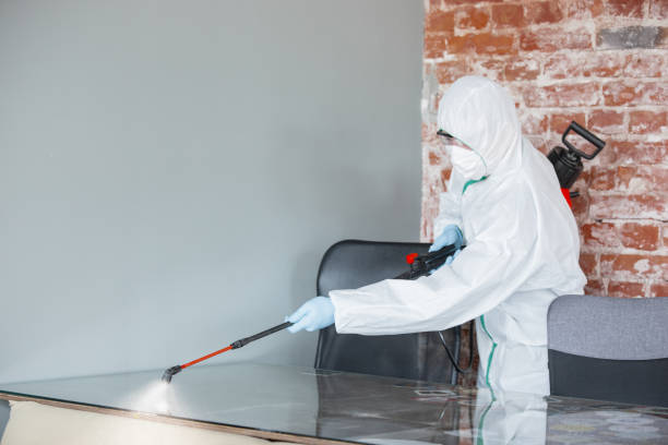 Why You Should Choose Our Mold Remediation Services in Buchanan Dam, TX